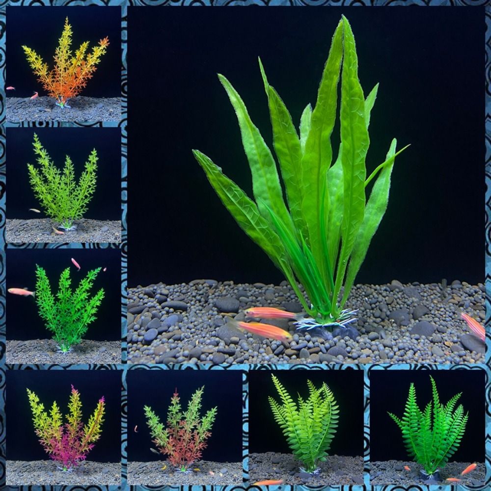 Planted Aquarium Bowl - زينة حوض أسماك لتزيين حوض السمك