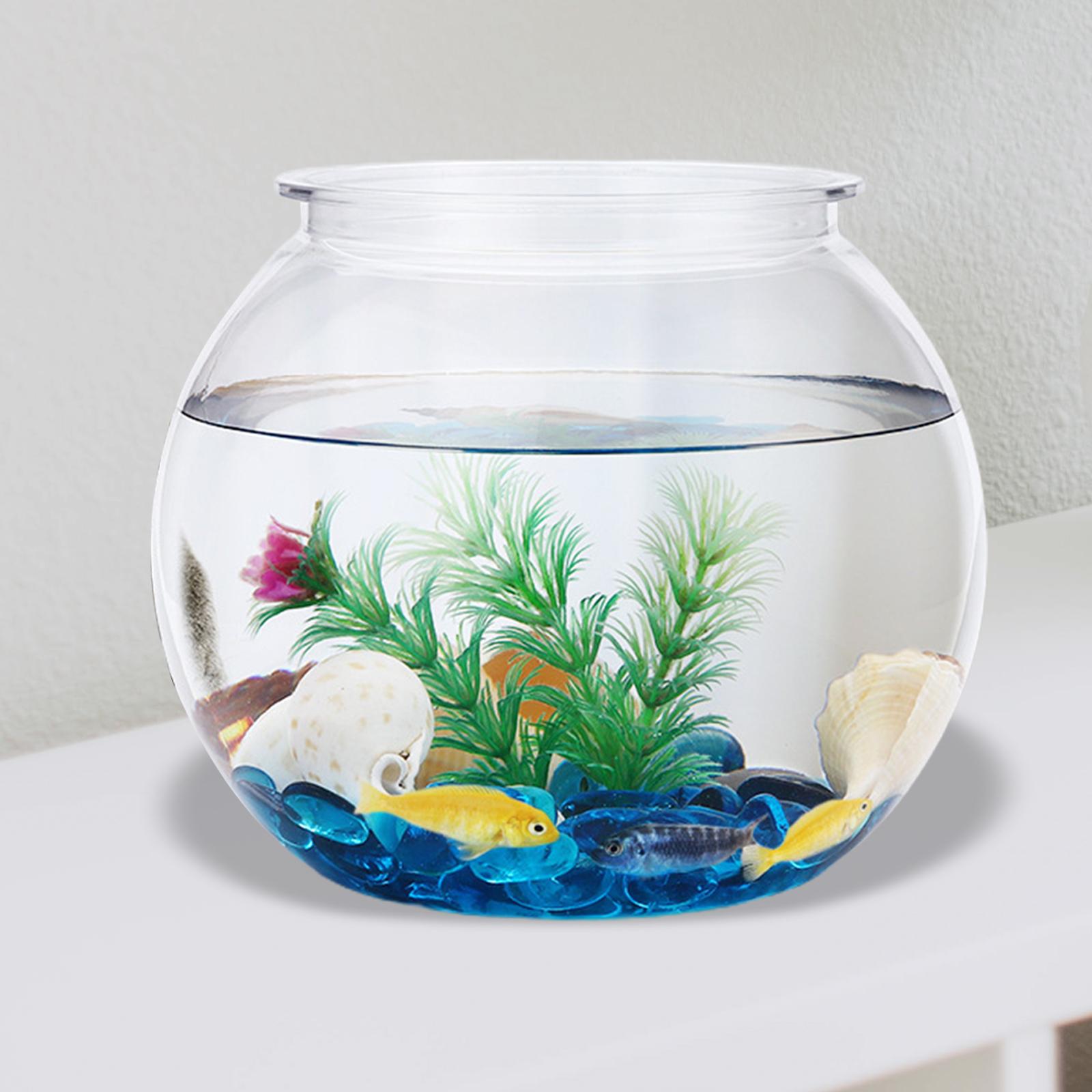 Planted Aquarium Bowl - ديكور شفاف خزان الأسماك الصغيرة ،