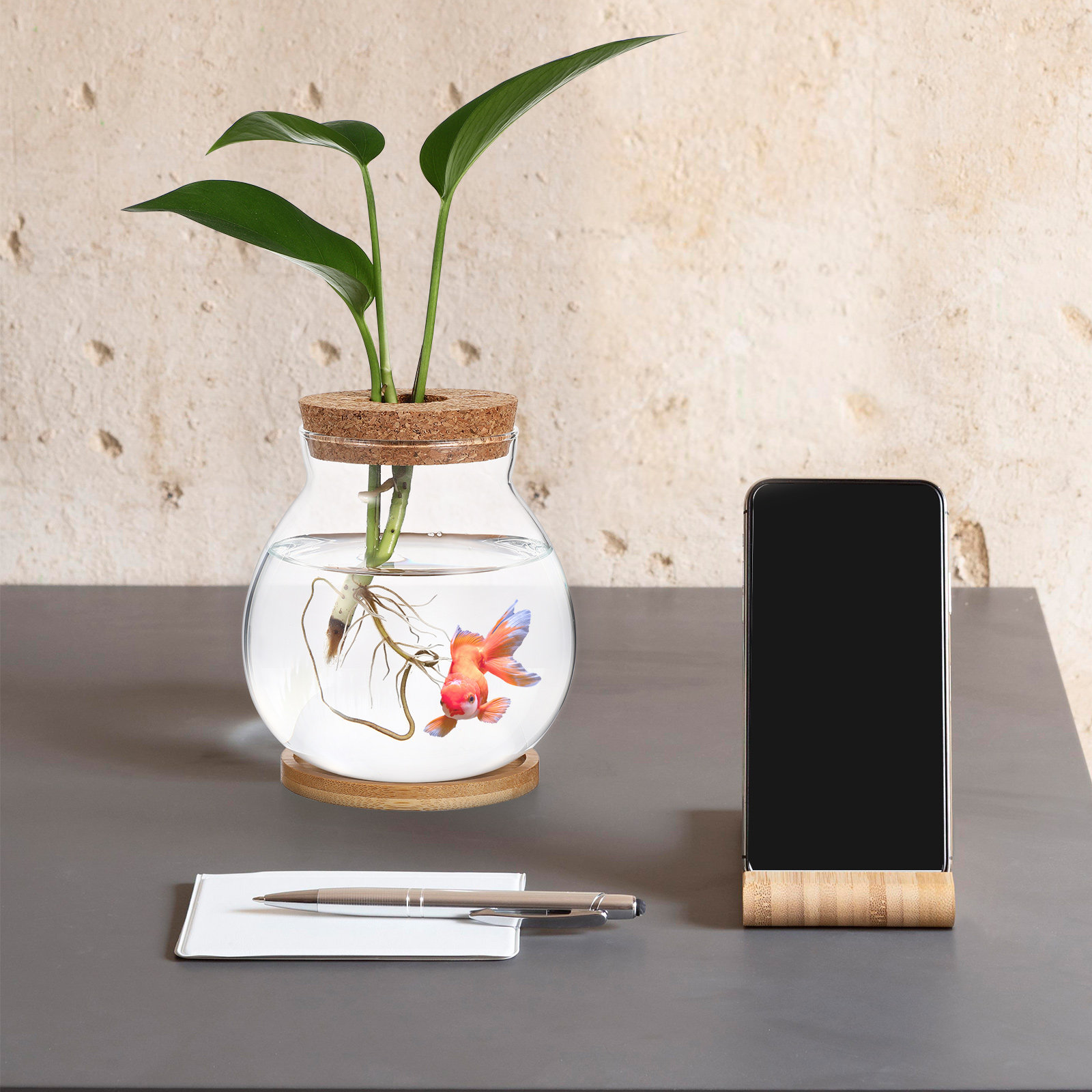 Planted Aquarium Bowl - حوض أسماك زجاجي مكتبي صغير لأسماك