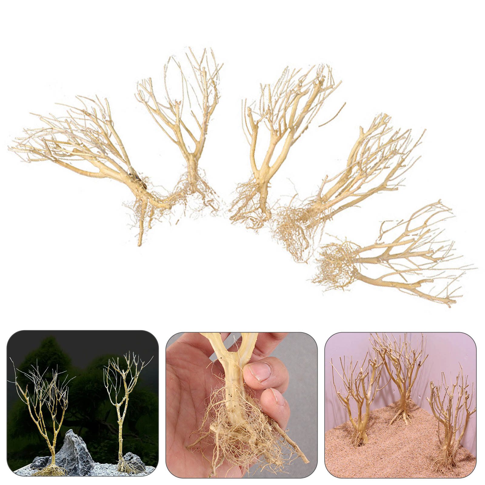 Aquarium Plant On Wood - زينة جديدة لحوض السمك من الخشب