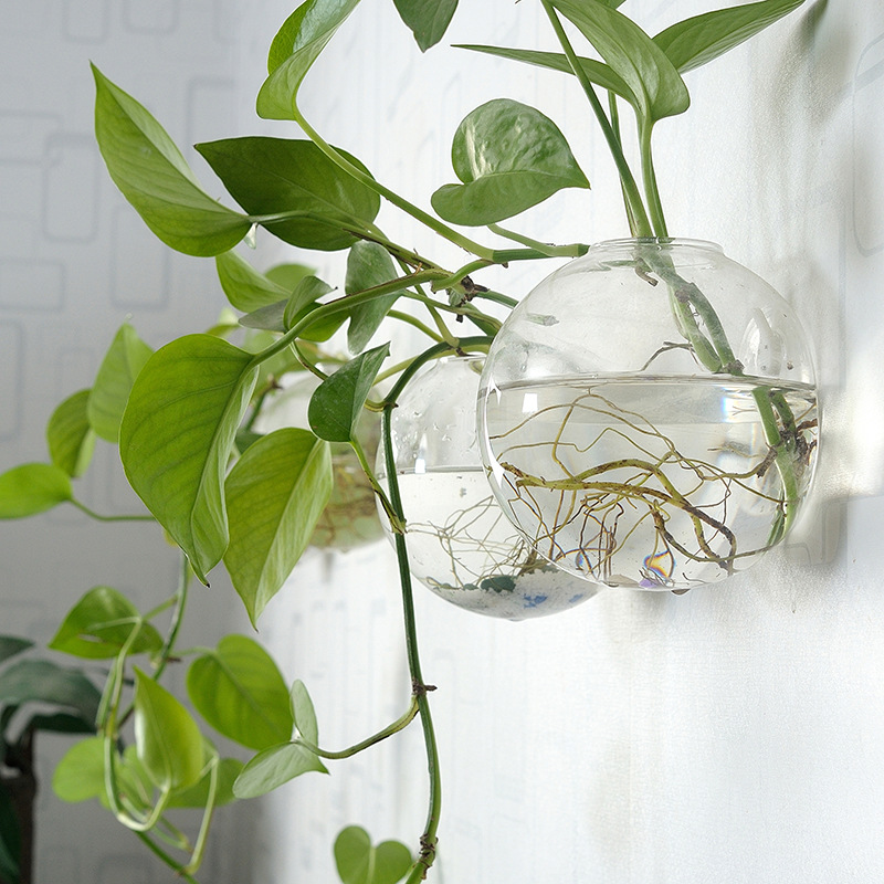 Planted Aquarium Bowl - الجدار شنقا وعاء السمك الاكريليك شبكي