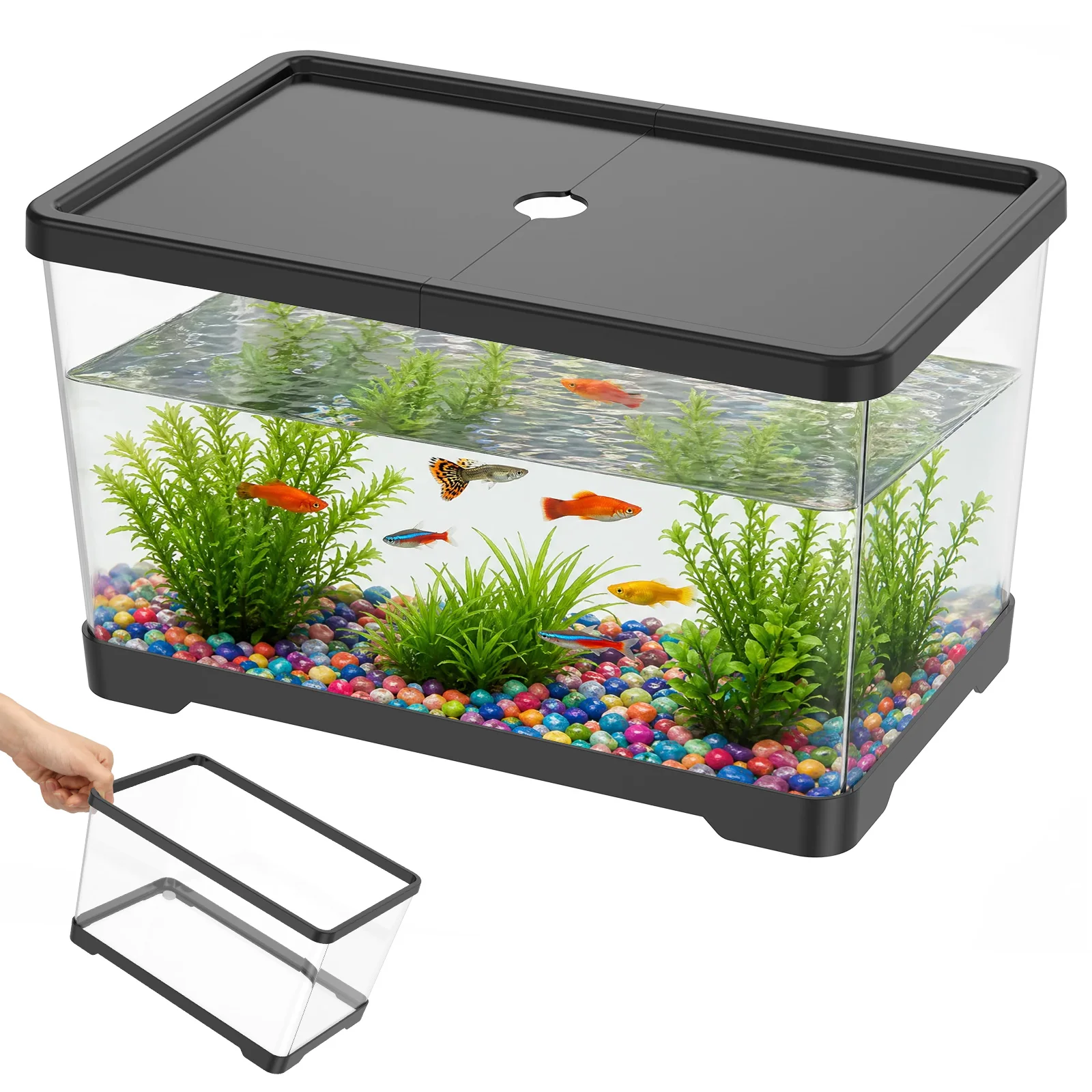 Planted Aquarium Bowl - حوض أسماك شفاف مع غطاء، حوض