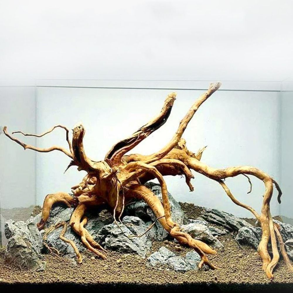 Aquarium Plant Root Tabs - شجرة طبيعية جذع حوض السمك الديكور