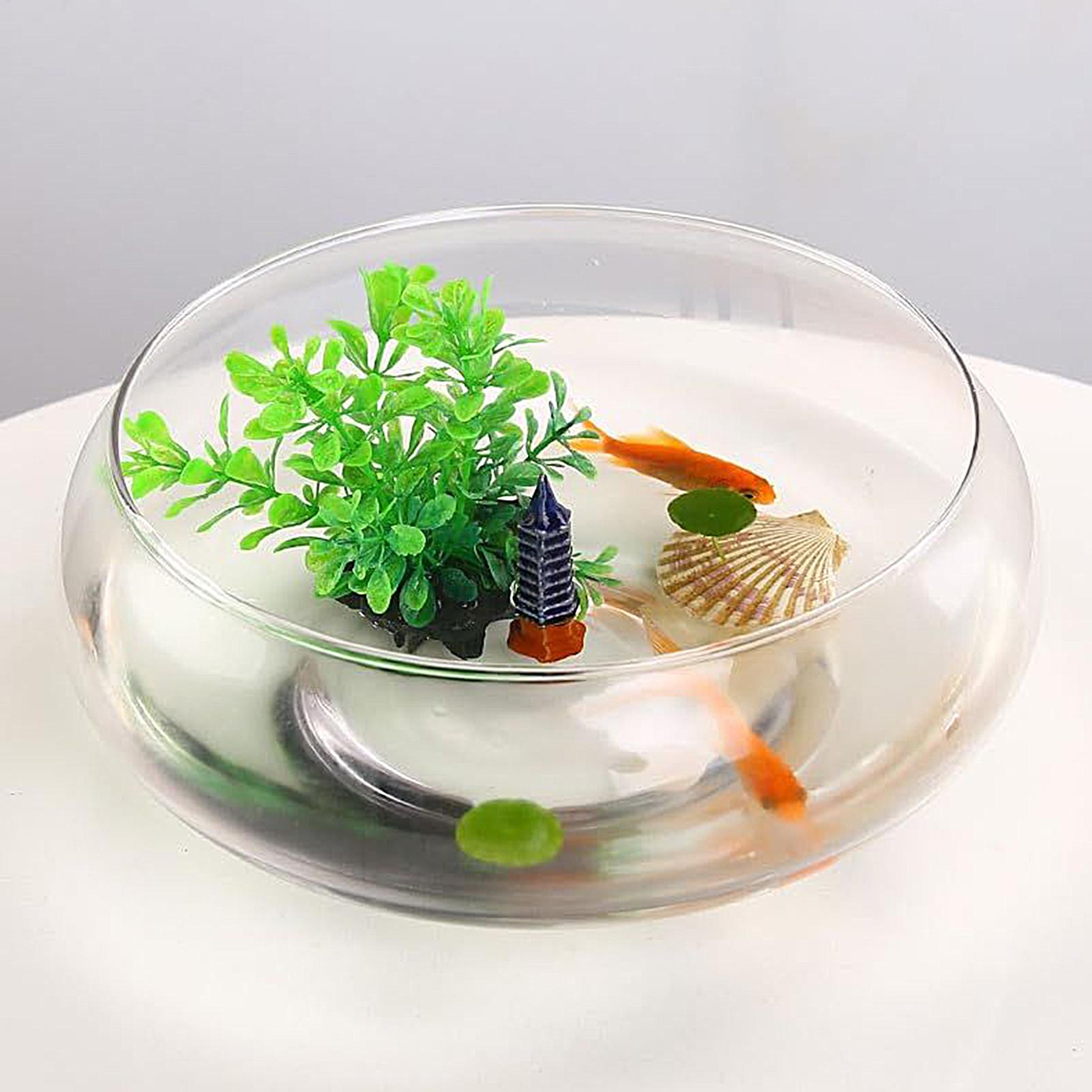 Planted Aquarium Bowl - وعاء زجاجي كبير للأسماك، وعاء زهور