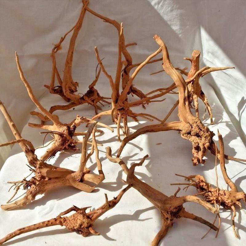 Aquarium Plant Root Tabs - قطعة واحدة من الخشب الطافي الطبيعي،
