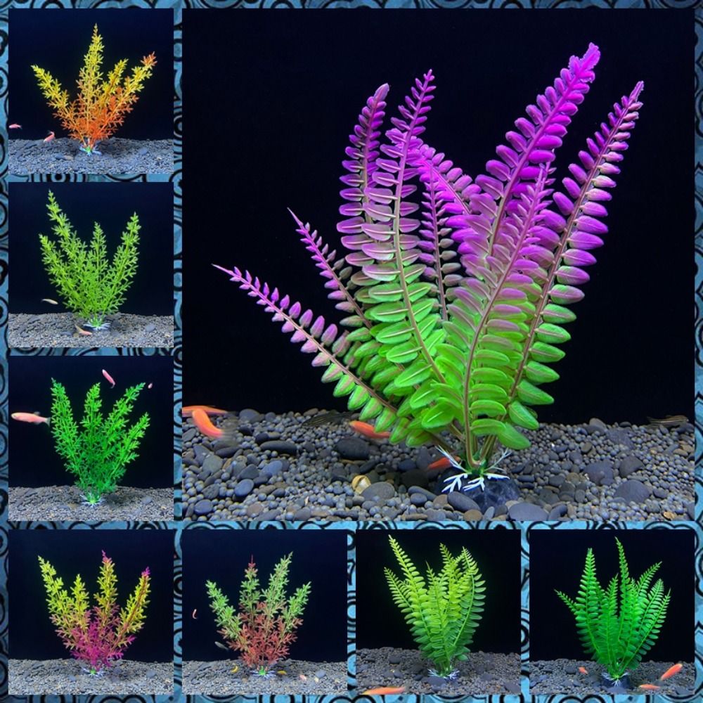 زينة حوض أسماك لتزيين حوض السم - مراجعة Planted Aquarium Bowl وسعره