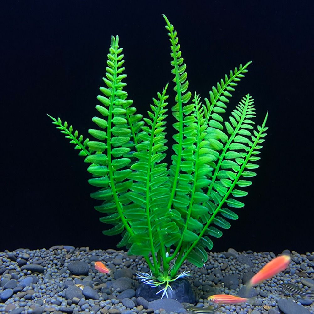 زينة حوض أسماك لتزيين حوض السم - مراجعة Planted Aquarium Bowl وسعره