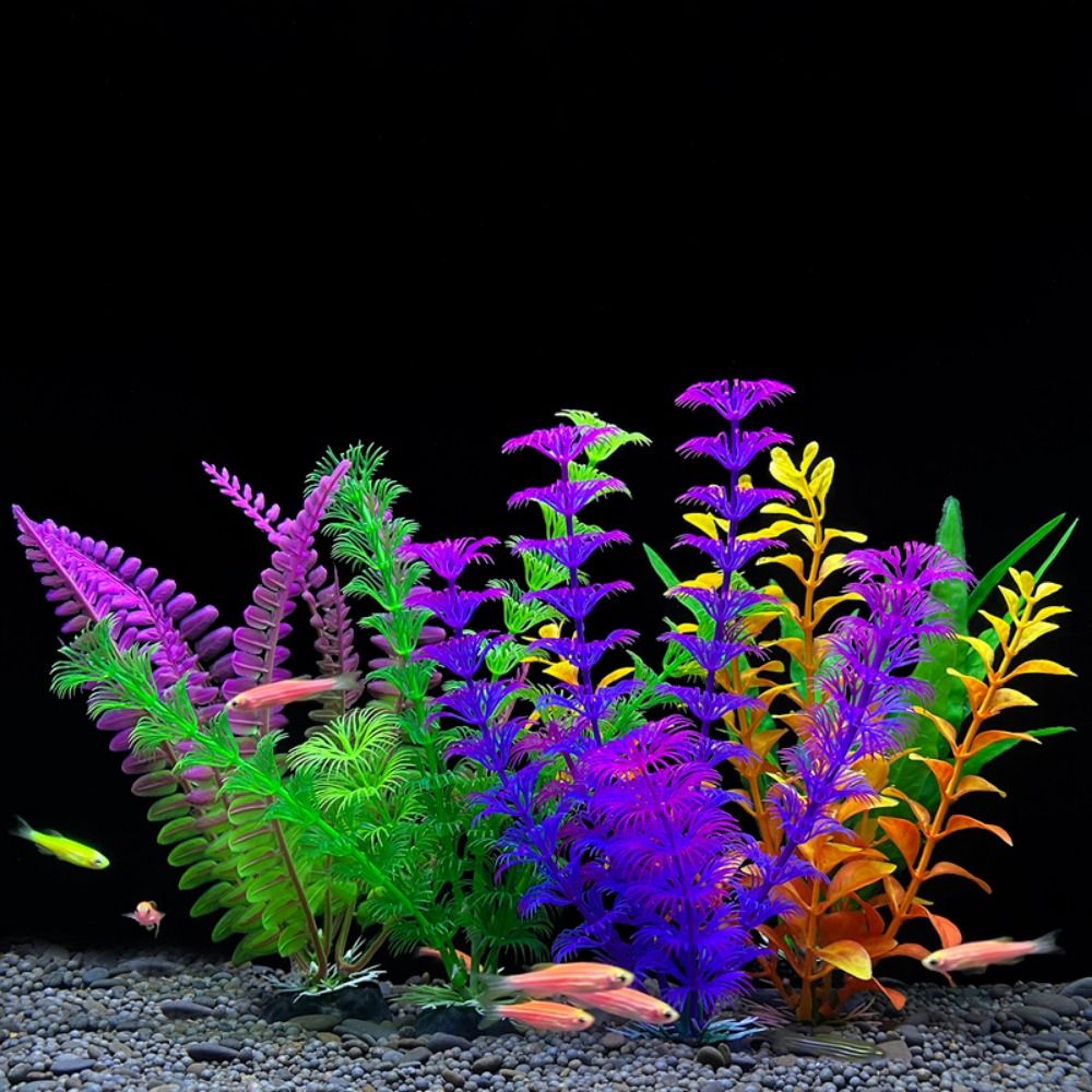 زينة حوض أسماك لتزيين حوض السم - مراجعة Planted Aquarium Bowl وسعره