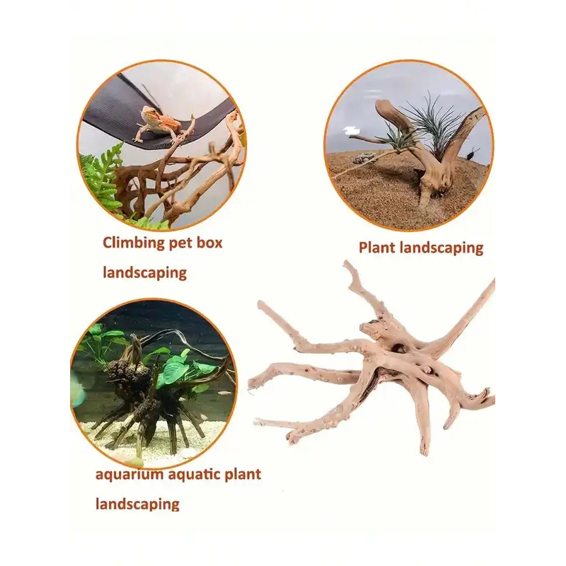 خشب طبيعي عائم لتزيين أحواض ال - مراجعة Aquarium Plant Root Tabs وسعره