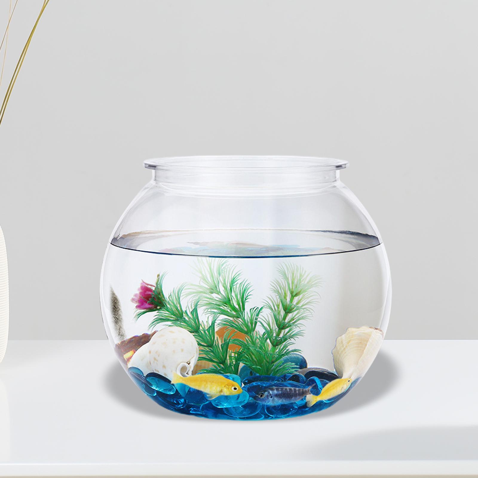 ديكور شفاف خزان الأسماك الصغير - مراجعة Planted Aquarium Bowl وسعره