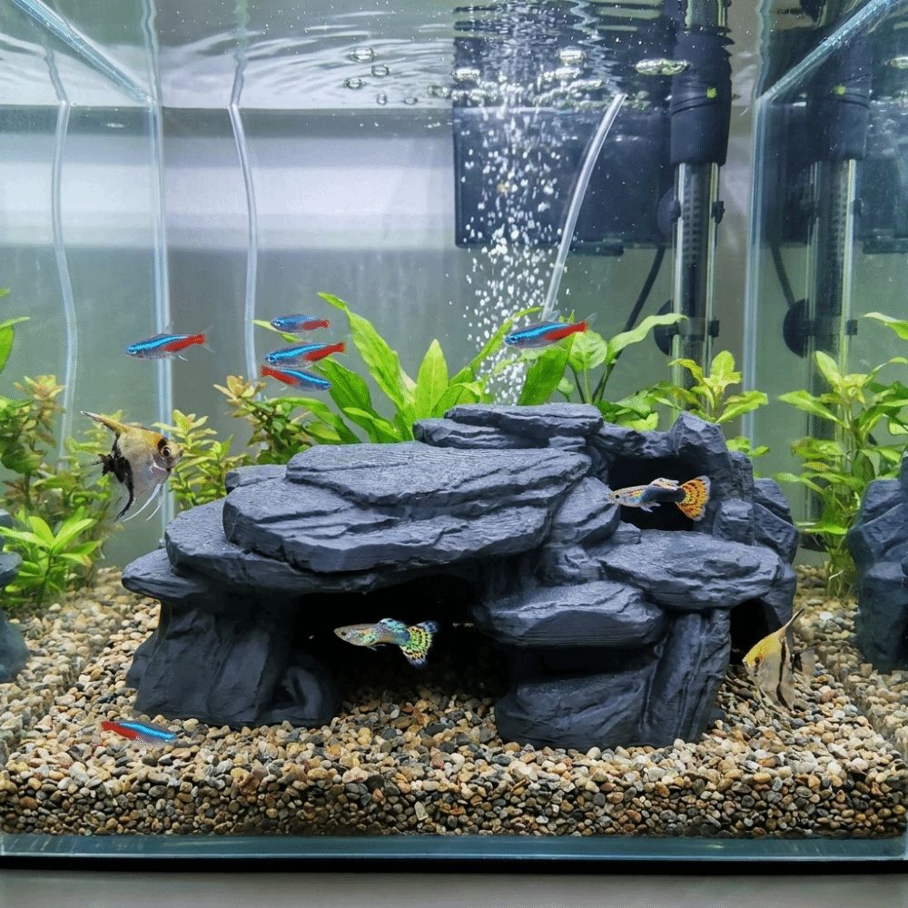 زينة صخرية ثلاثية الأبعاد لأحو - مراجعة Aquarium Plant Root Tabs وسعره