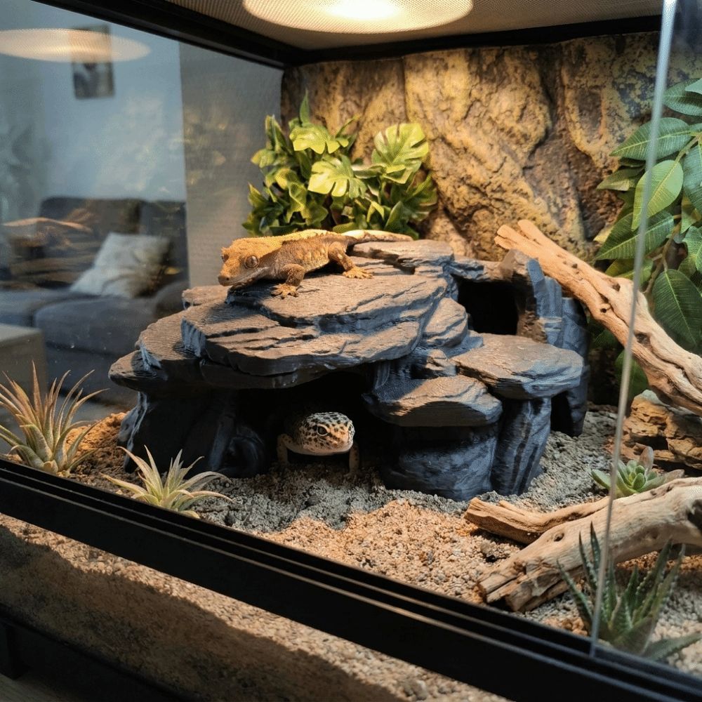 زينة صخرية ثلاثية الأبعاد لأحو - مراجعة Aquarium Plant Root Tabs وسعره