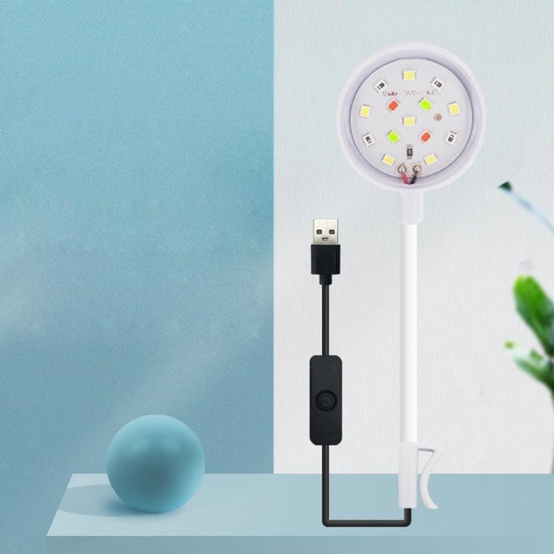 حوض السمك الصغير للأسماك الخفي - مراجعة Planted Aquarium Bowl وسعره
