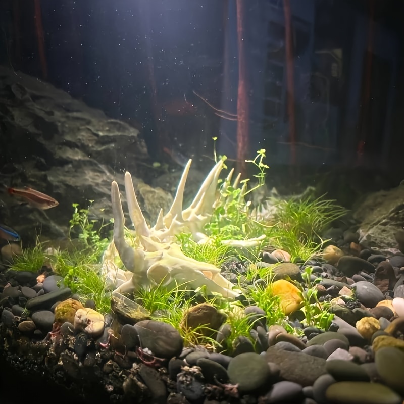 قطعة واحدة: زينة حوض السمك على - مراجعة Aquarium Plant Root Tabs وسعره