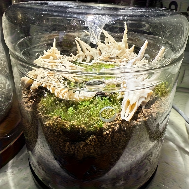 قطعة واحدة: زينة حوض السمك على - مراجعة Aquarium Plant Root Tabs وسعره
