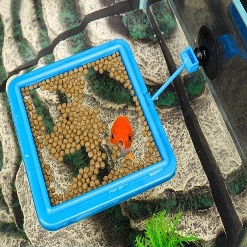 جديد حوض السمك تغذية حلقة محطة - مراجعة Aquarium Plant Nutrients وسعره