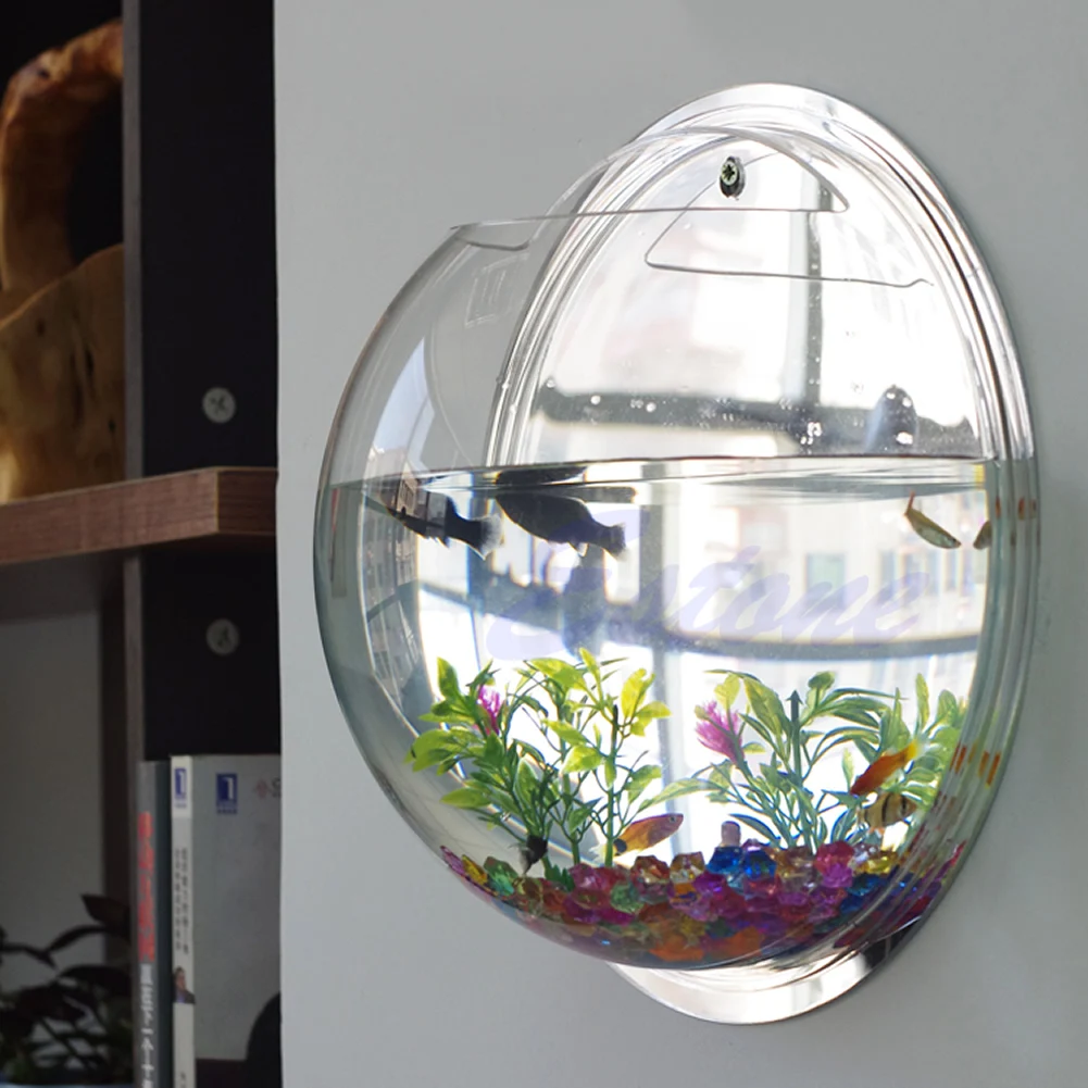 وعاء سمك أكريليك مثبت على الحا - مراجعة Planted Aquarium Bowl وسعره