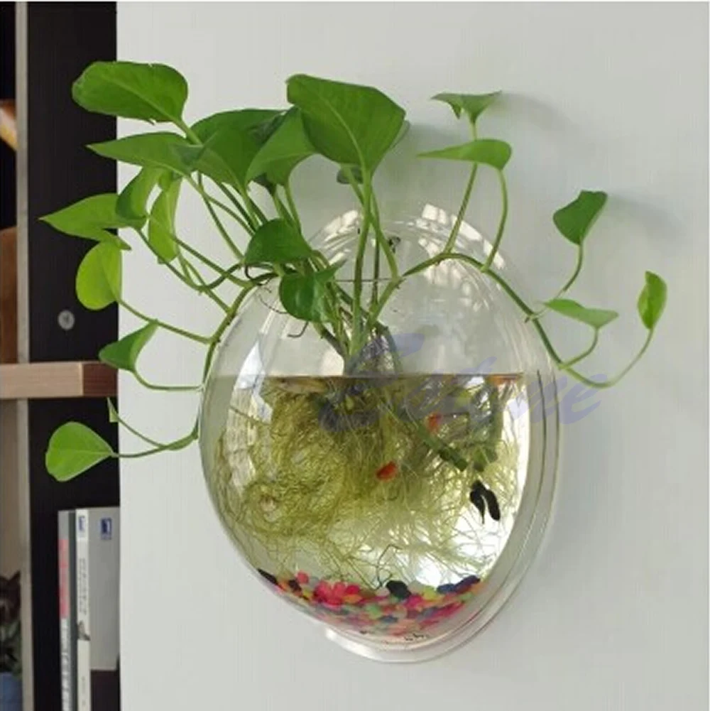 وعاء سمك أكريليك مثبت على الحا - مراجعة Planted Aquarium Bowl وسعره