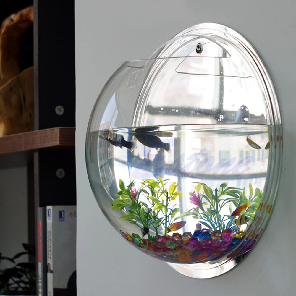 وعاء سمك أكريليك مثبت على الحا - مراجعة Planted Aquarium Bowl وسعره