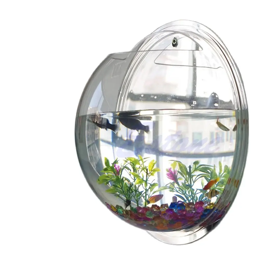 وعاء سمك أكريليك مثبت على الحا - مراجعة Planted Aquarium Bowl وسعره