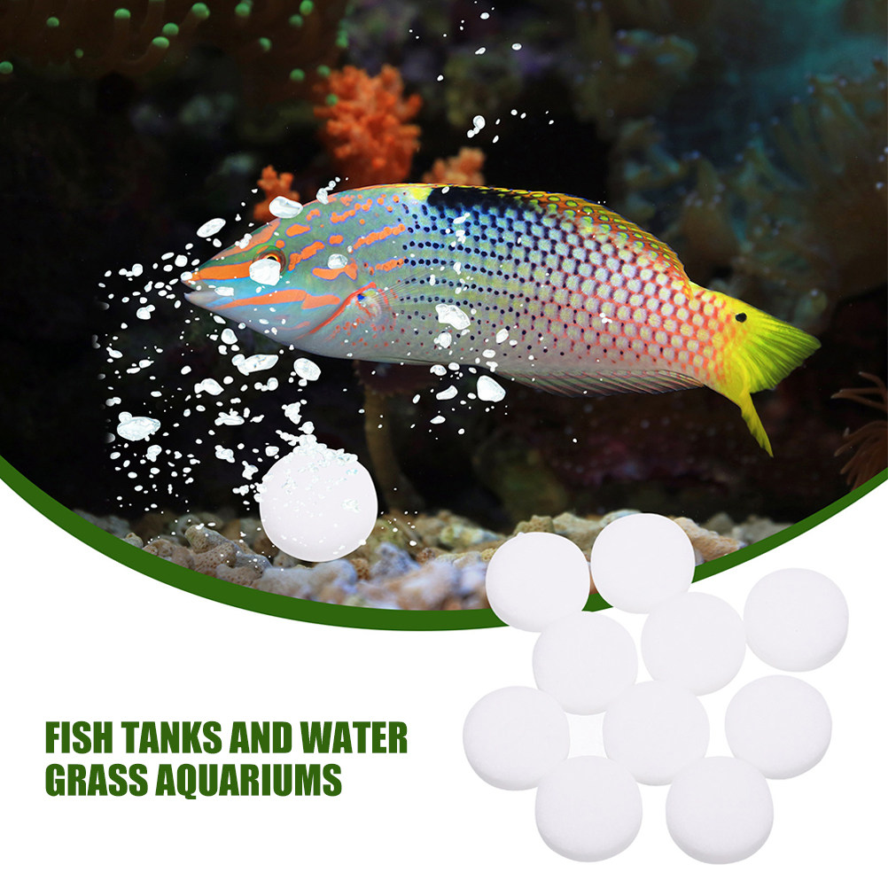 3 أكياس أقراص ثاني أكسيد الكرب - مراجعة Aquarium Plant Nutrients وسعره