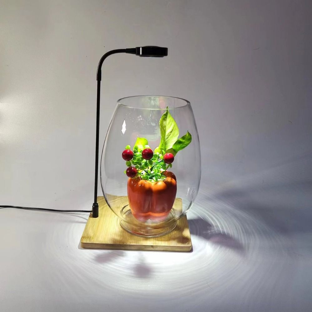 10 واط حوض السمك النبات ملء مص - مراجعة Aquarium Plant On Wood وسعره