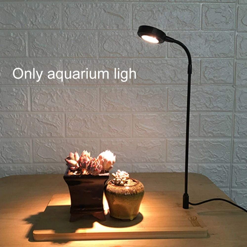 10 واط حوض السمك النبات ملء مص - مراجعة Aquarium Plant On Wood وسعره