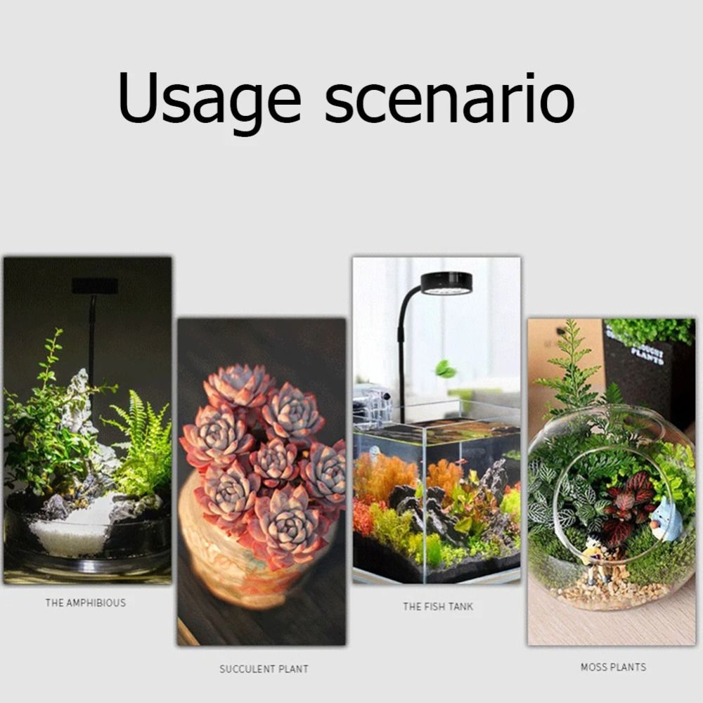 10 واط حوض السمك النبات ملء مص - مراجعة Aquarium Plant On Wood وسعره