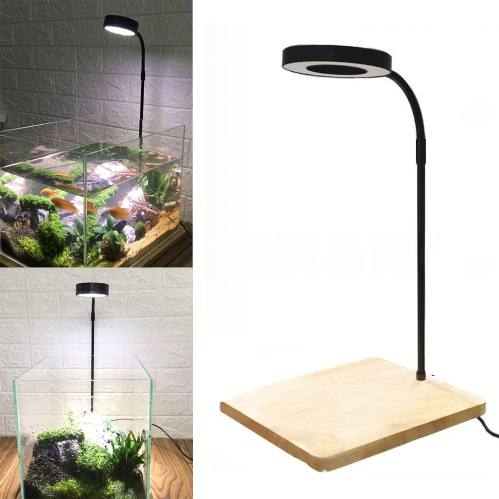 10 واط خزان الأسماك LED مصباح  - مراجعة Aquarium Plant On Wood وسعره