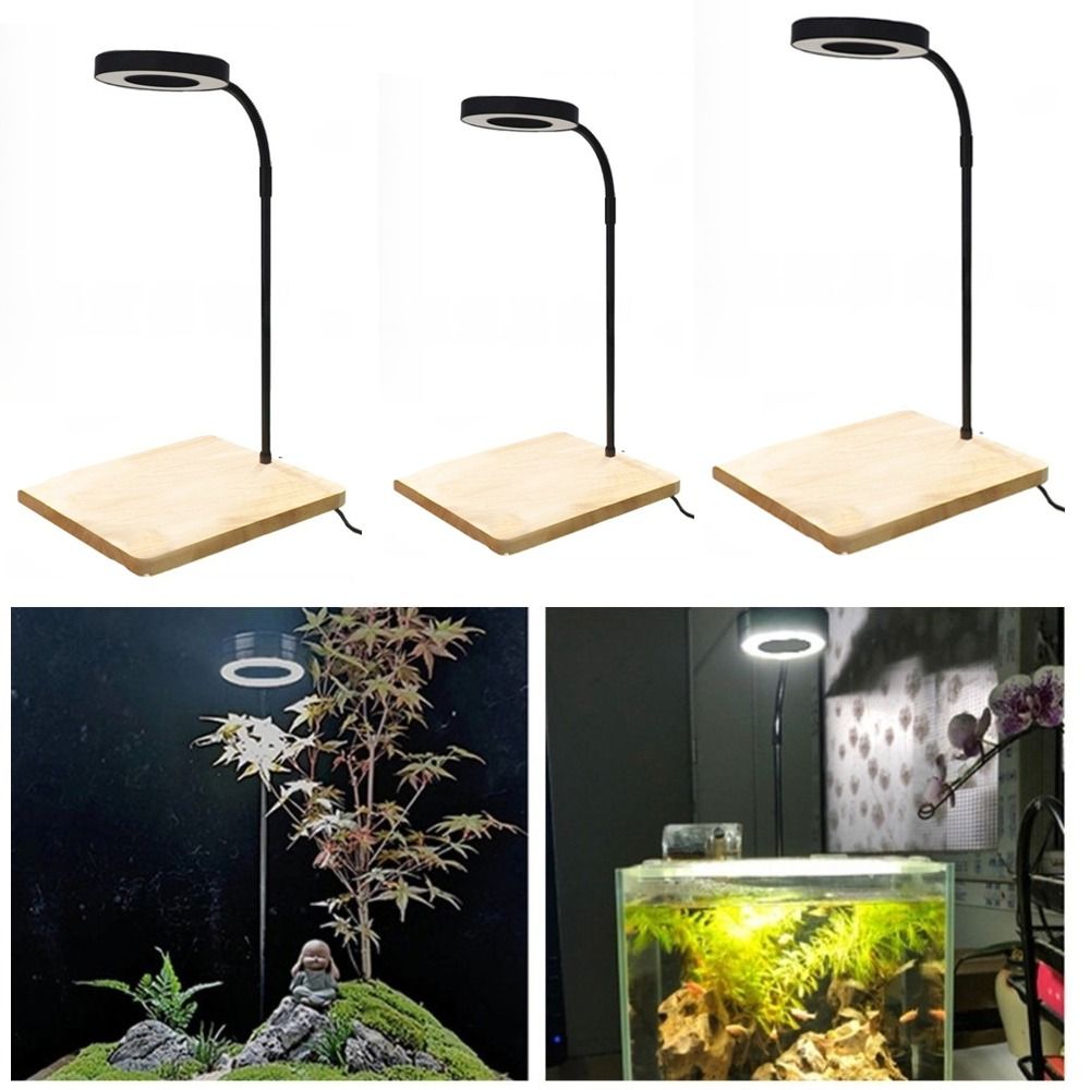 10 واط خزان الأسماك LED مصباح  - مراجعة Aquarium Plant On Wood وسعره