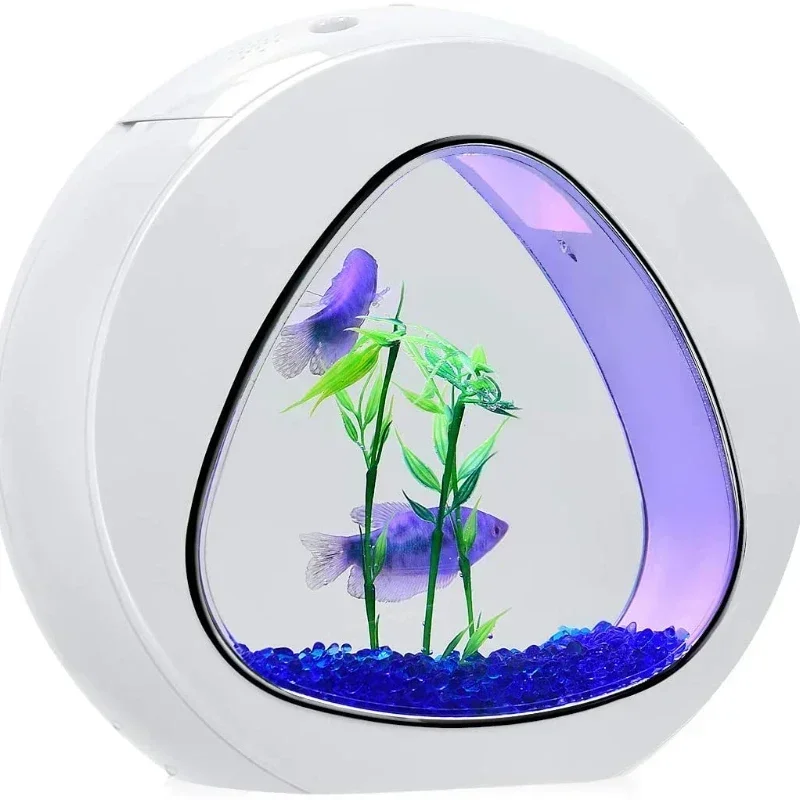 خزان سمك بيتا، حوض سمك السمك م - مراجعة Planted Aquarium Bowl وسعره
