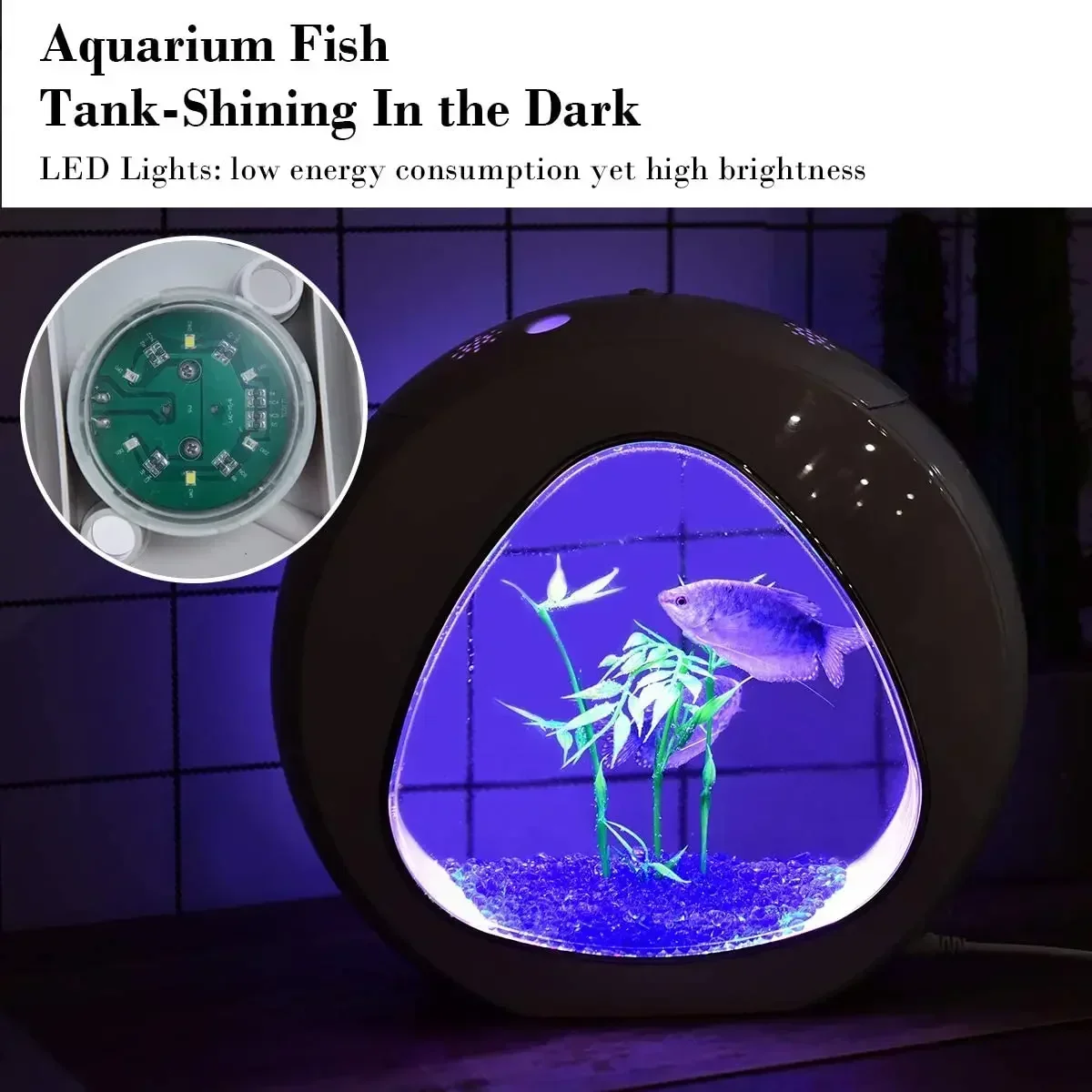 خزان سمك بيتا، حوض سمك السمك م - مراجعة Planted Aquarium Bowl وسعره