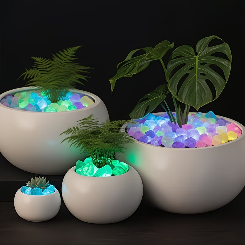 مجموعة 300 قطعة من الحصى المضي - مراجعة Planted Aquarium Equipment وسعره