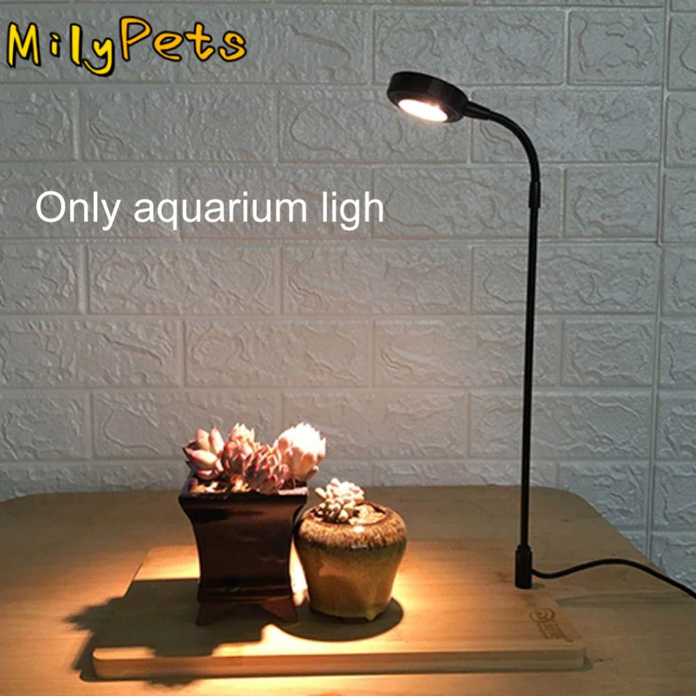 10 واط حوض السمك النبات ملء مص - مراجعة Aquarium Plant On Wood وسعره