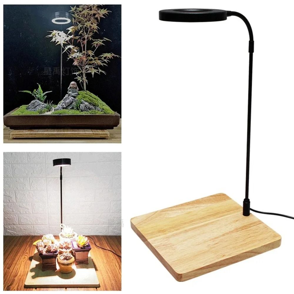 10 واط حوض السمك النبات ملء مص - مراجعة Aquarium Plant On Wood وسعره