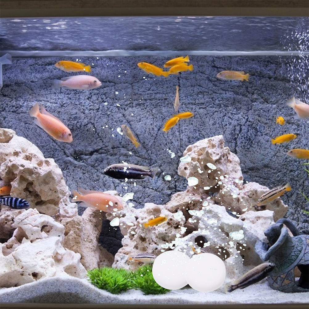 3 أكياس أقراص ثاني أكسيد الكرب - مراجعة Aquarium Plant Nutrients وسعره