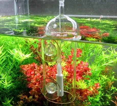 VIV Do جهاز حوض السمك اسطوانة  - مراجعة Planted Aquarium Equipment وسعره