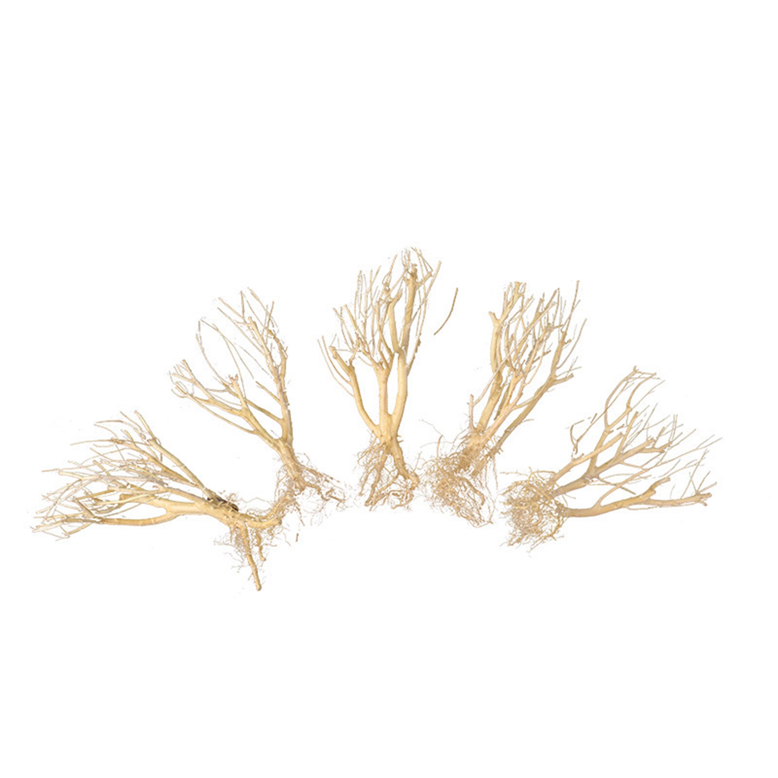 زينة جديدة لحوض السمك من الخشب - مراجعة Aquarium Plant On Wood وسعره
