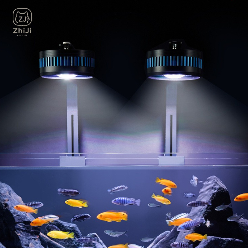 إضاءة LED لحوض السمك بطيف كامل - مراجعة Aquarium Plant On Wood وسعره