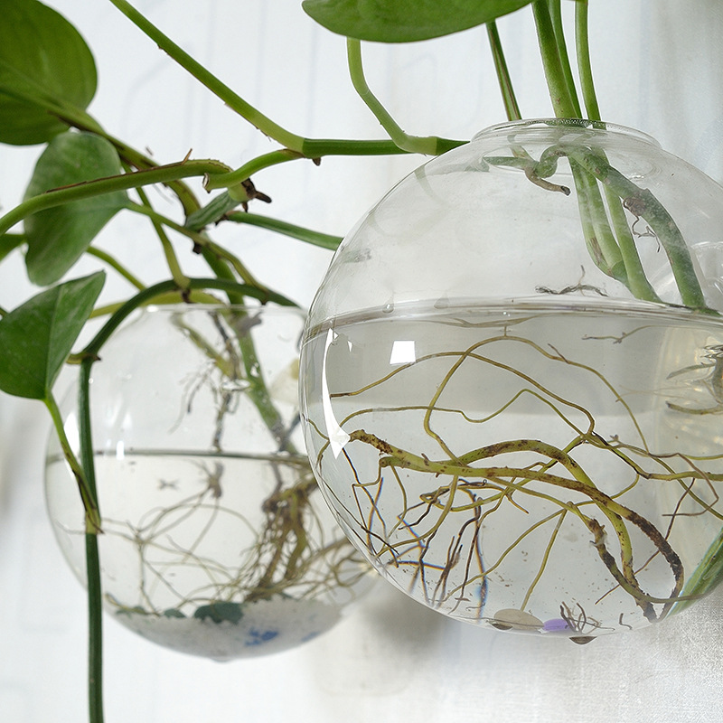 الجدار شنقا وعاء السمك الاكريل - مراجعة Planted Aquarium Bowl وسعره