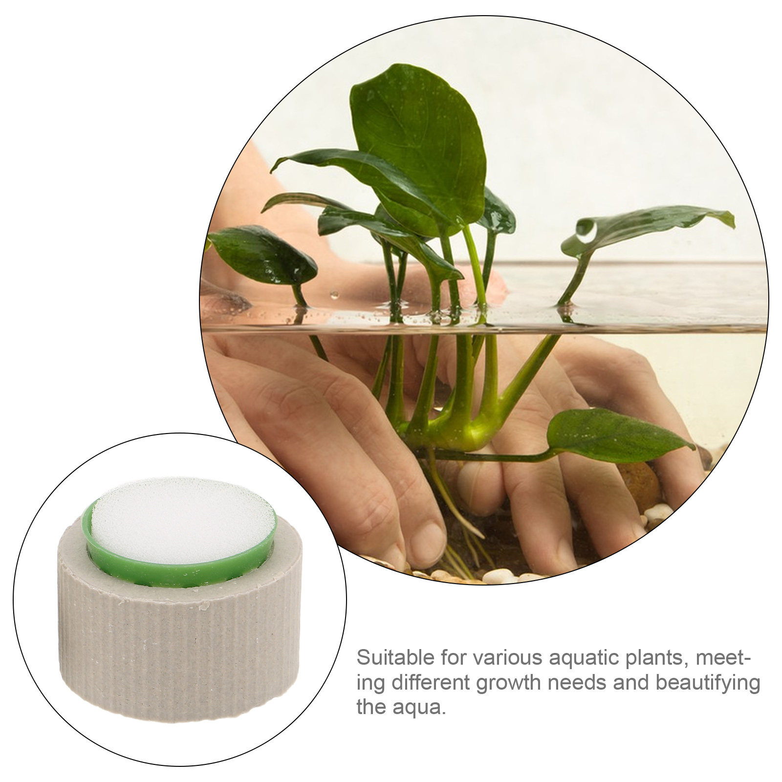 9 قطع من حلقات حامل النباتات ا - مراجعة Aquarium Plant Nutrients وسعره