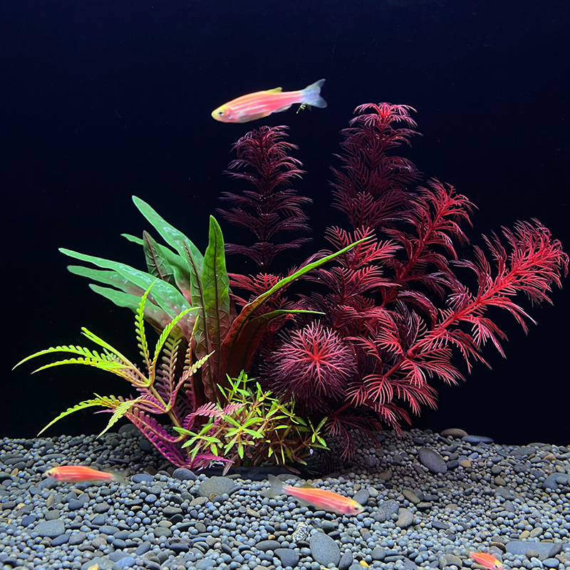 نبات مائي اصطناعي واقعي لتزيين - مراجعة Planted Aquarium Bowl وسعره