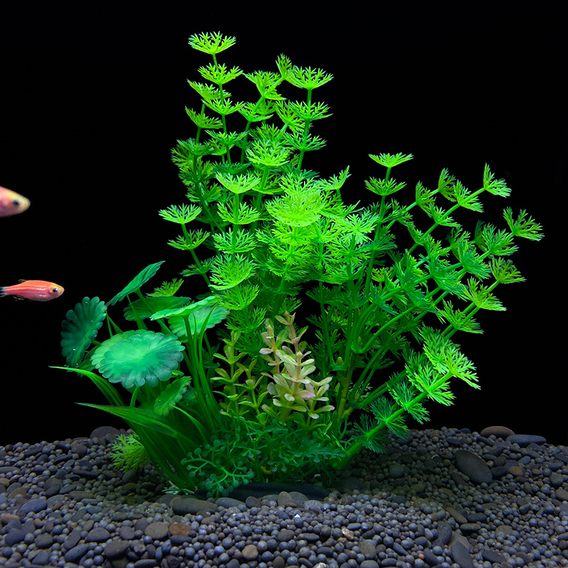 نبات مائي اصطناعي واقعي لتزيين - مراجعة Planted Aquarium Bowl وسعره