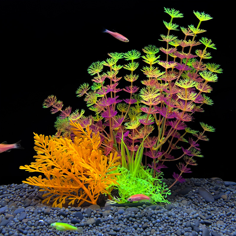 نبات مائي اصطناعي واقعي لتزيين - مراجعة Planted Aquarium Bowl وسعره