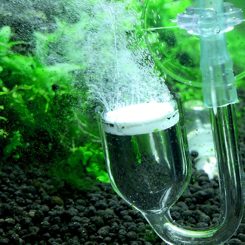 حوض السمك الزجاج CO2 البخاخة ا - مراجعة Planted Aquarium Equipment وسعره