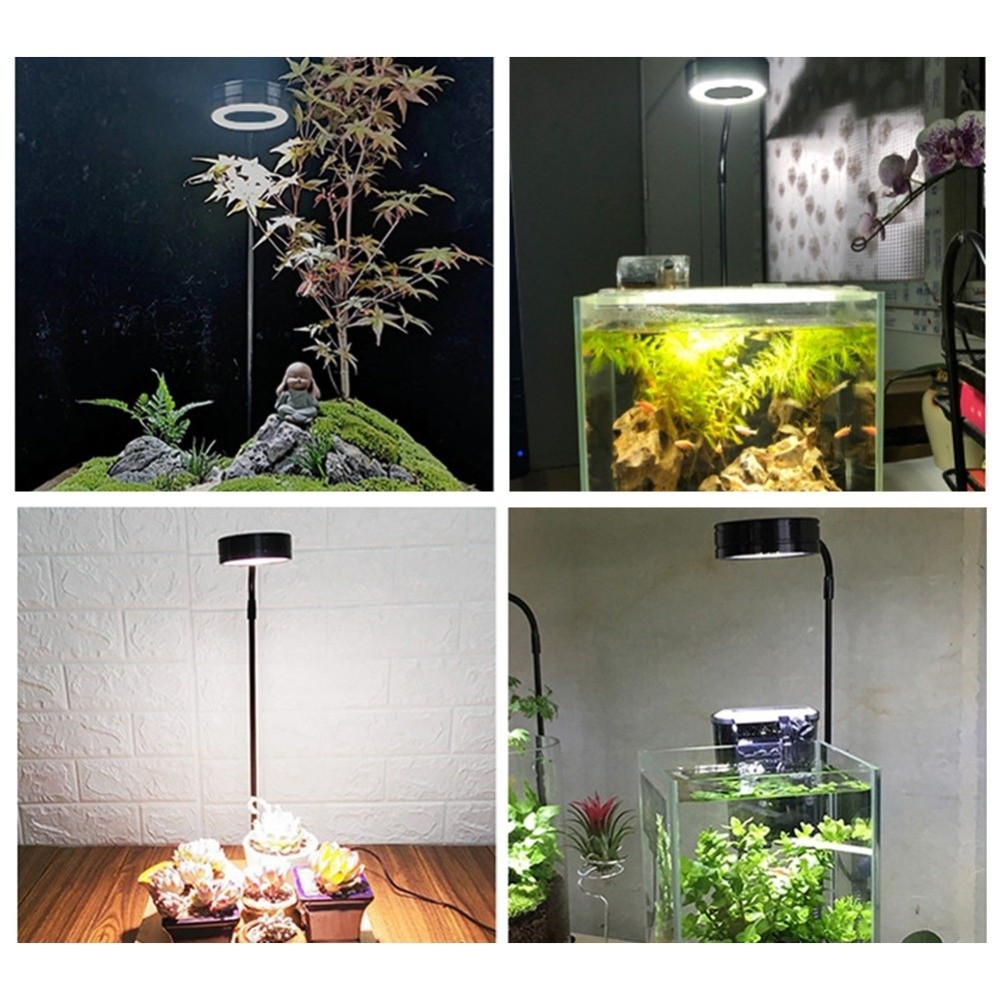 10 واط خزان الأسماك LED مصباح  - مراجعة Aquarium Plant On Wood وسعره