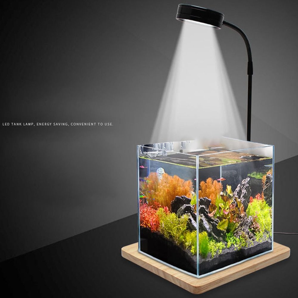 10 واط خزان الأسماك LED مصباح  - مراجعة Aquarium Plant On Wood وسعره
