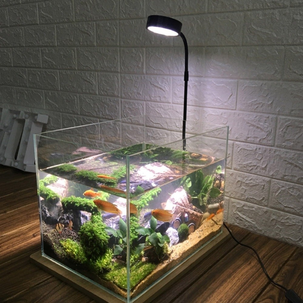 مصباح LED لحوض السمك بقوة 10 و - مراجعة Aquarium Plant On Wood وسعره