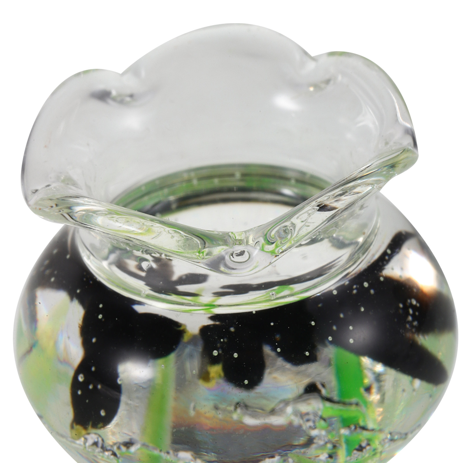 حوض أسماك صغير من الراتنج، حوض - مراجعة Planted Aquarium Bowl وسعره