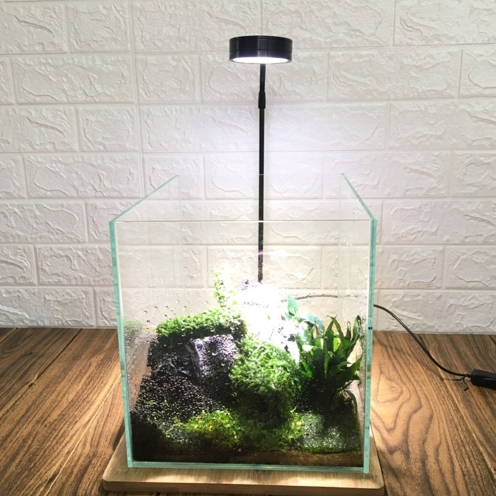 10 واط خزان الأسماك LED مصباح  - مراجعة Aquarium Plant On Wood وسعره